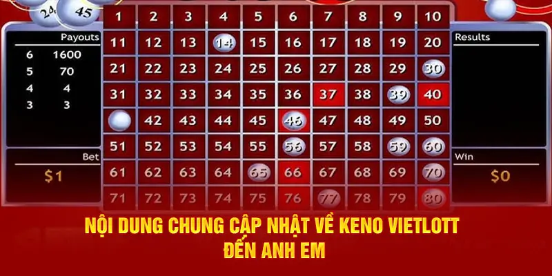 Cẩm Nang Dành Cho Người Mới: Cách Chơi Keno Vietlott Nhanh và Đạt Kết Quả Cao